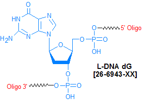 picture of L-DNA dG